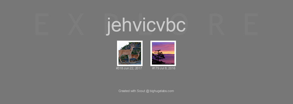 Find your photos in Flickr's Explore pages. Make a unique poster to show the world your achievement.