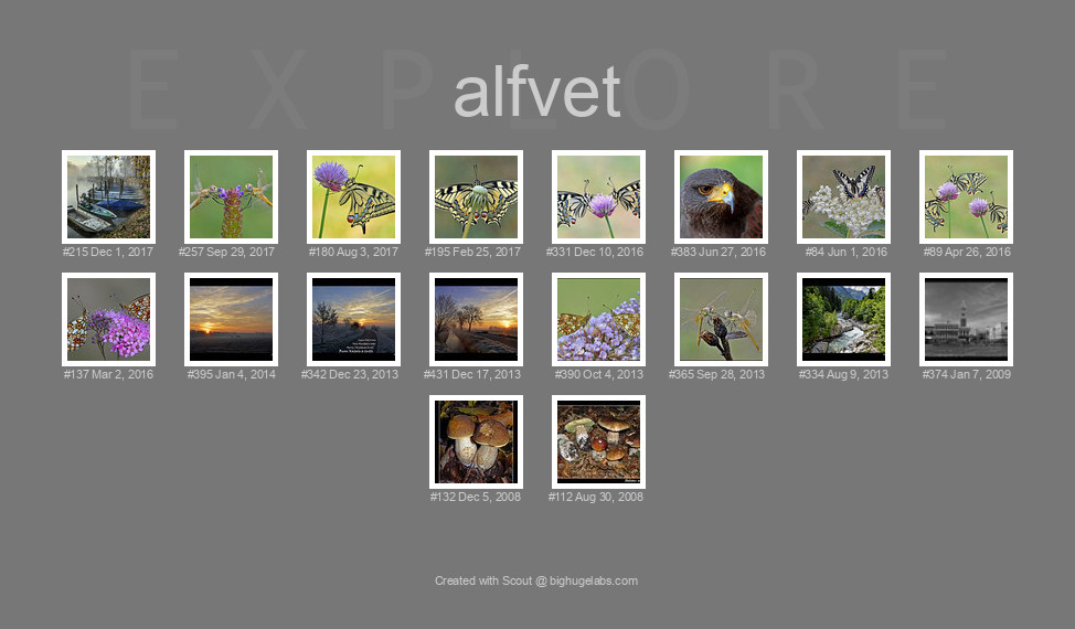 Find your photos in Flickr's Explore pages. Make a unique poster to show the world your achievement.