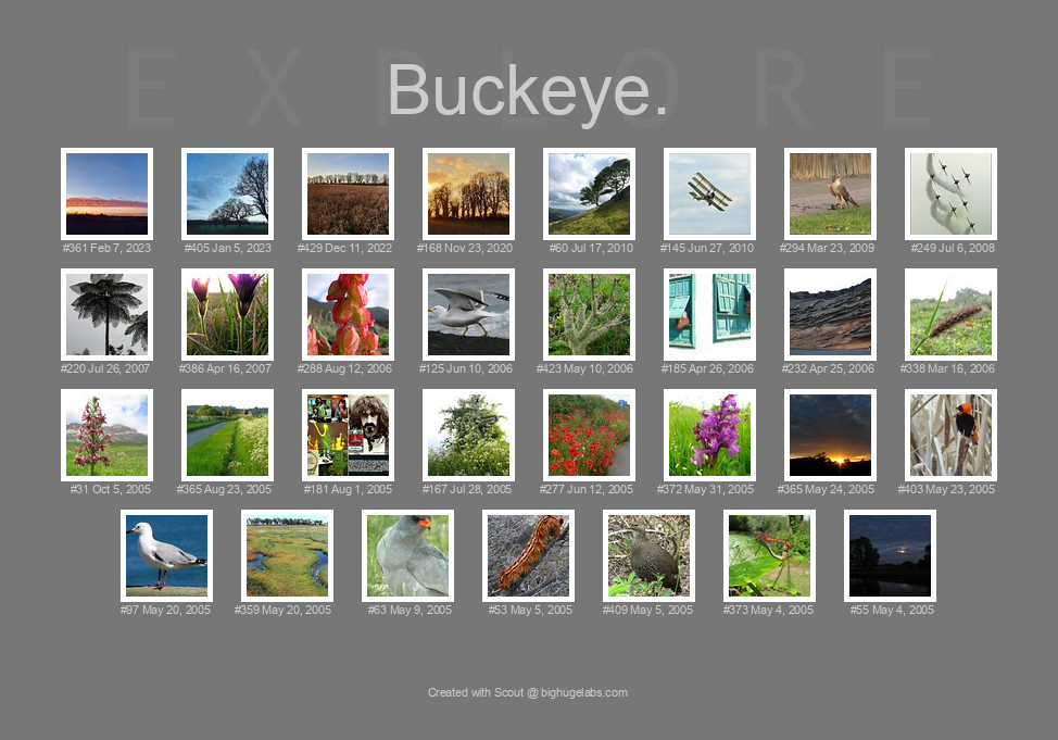 Find your photos in Flickr's Explore pages. Make a unique poster to show the world your achievement.