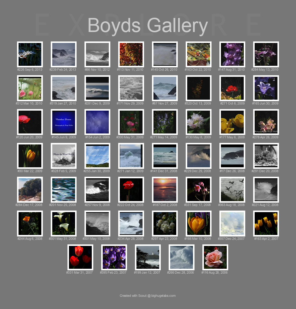 Find your photos in Flickr's Explore pages. Make a unique poster to show the world your achievement.