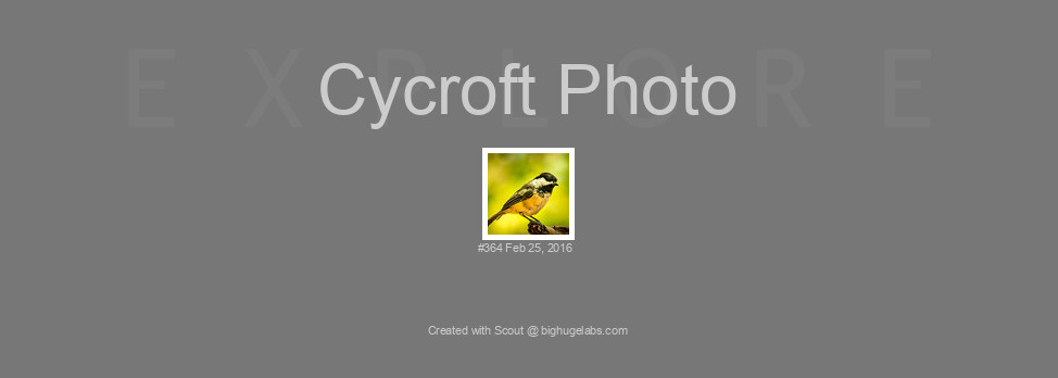 Find your photos in Flickr's Explore pages. Make a unique poster to show the world your achievement.