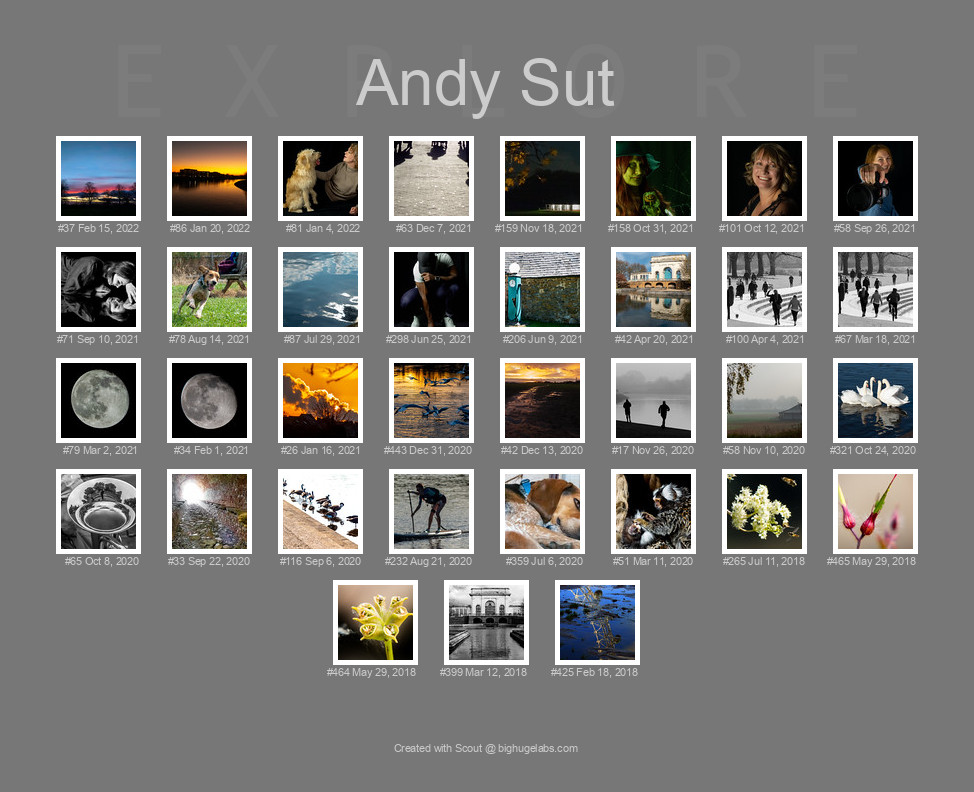Find your photos in Flickr's Explore pages. Make a unique poster to show the world your achievement.