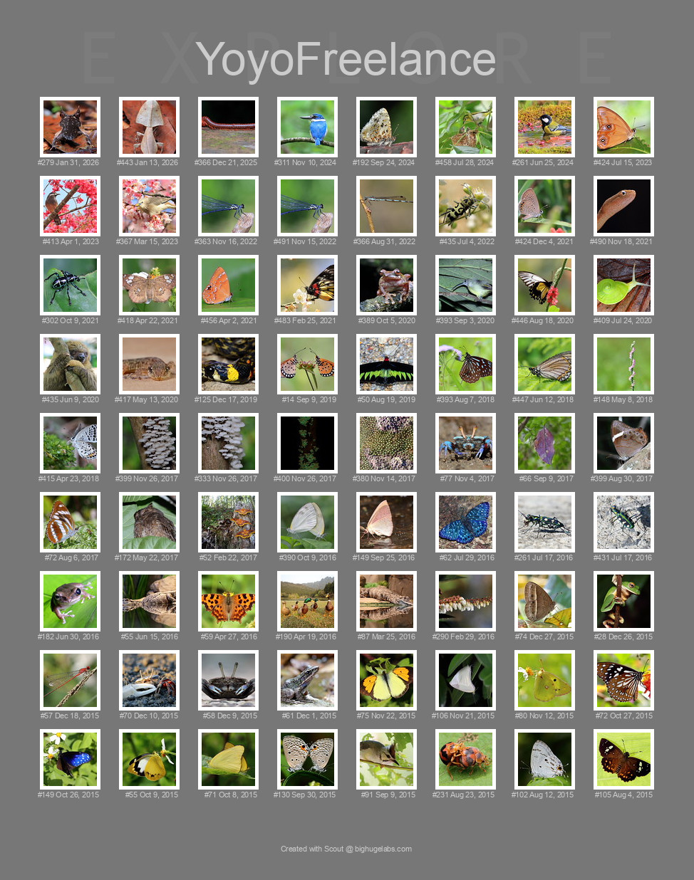 Find your photos in Flickr's Explore pages. Make a unique poster to show the world your achievement.
