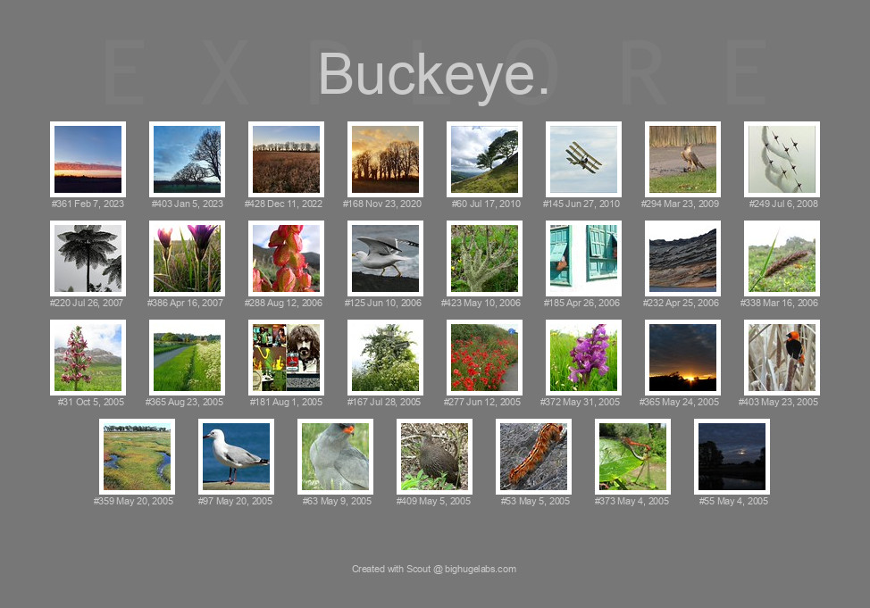 Find your photos in Flickr's Explore pages. Make a unique poster to show the world your achievement.