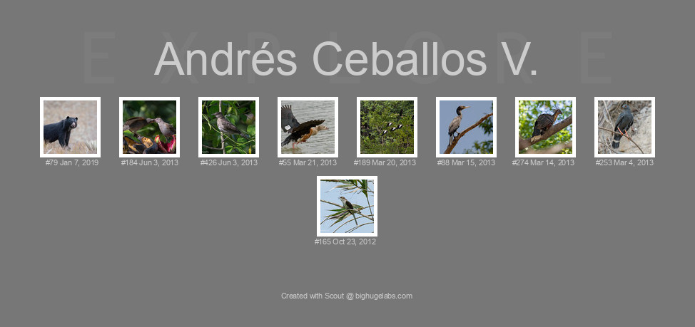 Find your photos in Flickr's Explore pages. Make a unique poster to show the world your achievement.