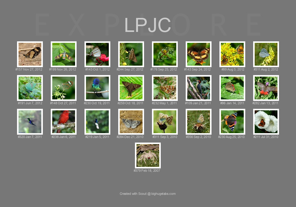 Find your photos in Flickr's Explore pages. Make a unique poster to show the world your achievement.