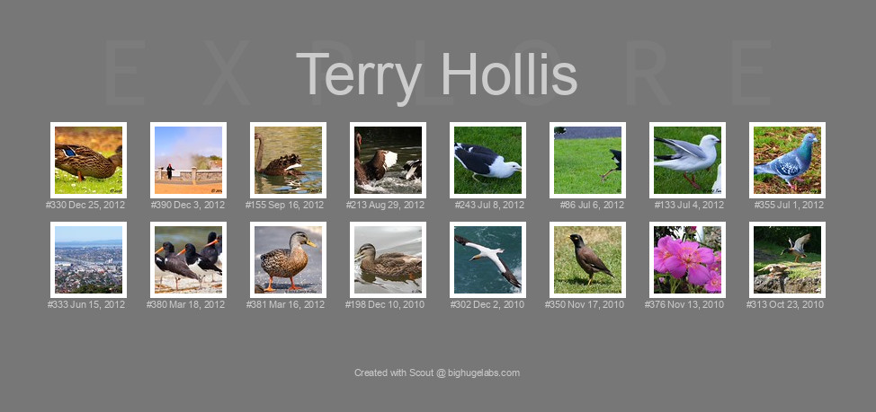 Find your photos in Flickr's Explore pages. Make a unique poster to show the world your achievement.