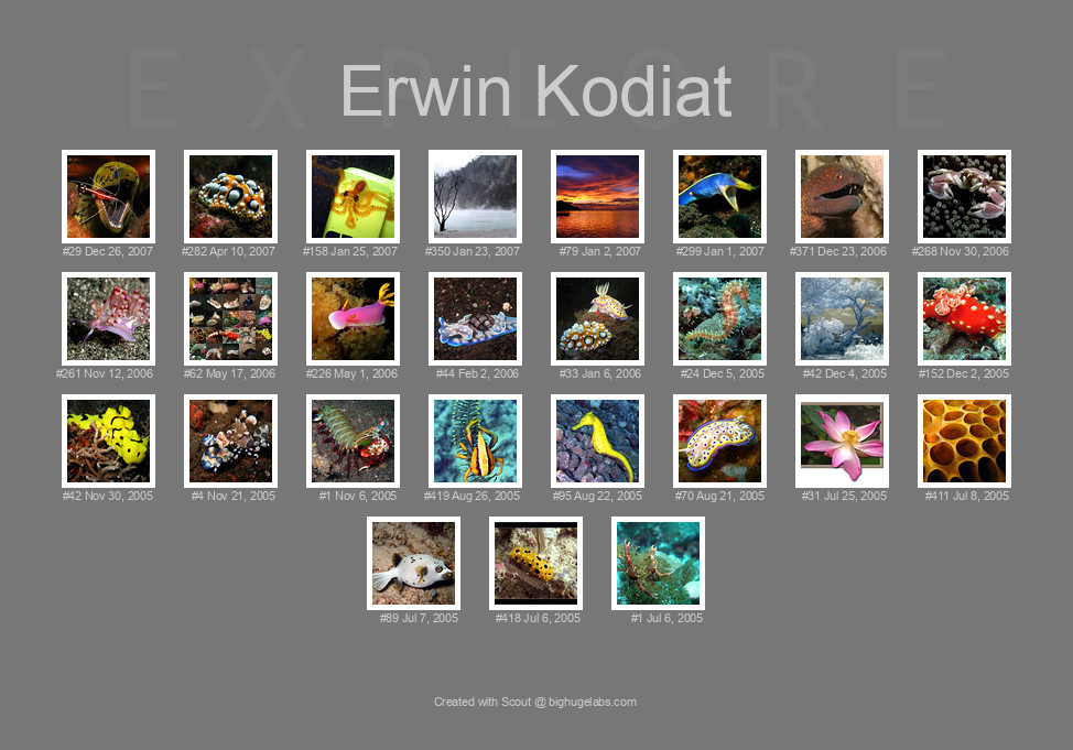 Find your photos in Flickr's Explore pages. Make a unique poster to show the world your achievement.