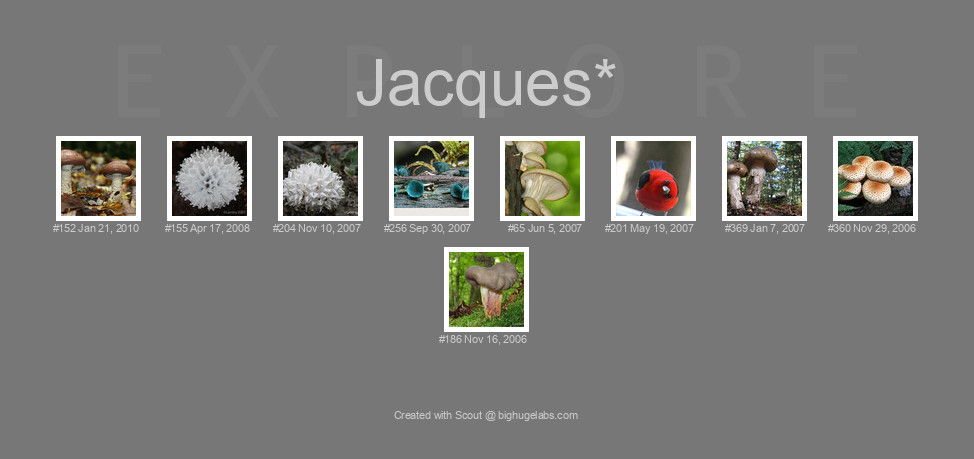 Find your photos in Flickr's Explore pages. Make a unique poster to show the world your achievement.