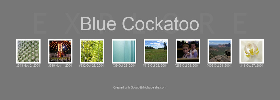 Find your photos in Flickr's Explore pages. Make a unique poster to show the world your achievement.