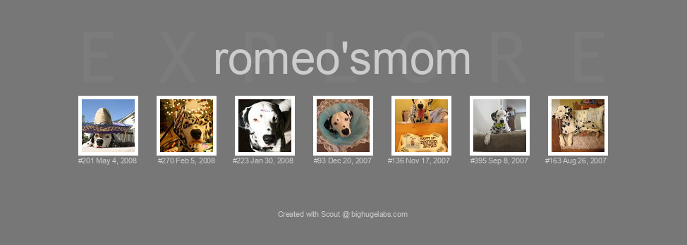 Find your photos in Flickr's Explore pages. Make a unique poster to show the world your achievement.