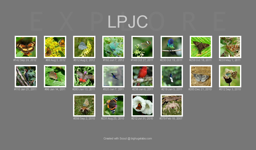 Find your photos in Flickr's Explore pages. Make a unique poster to show the world your achievement.