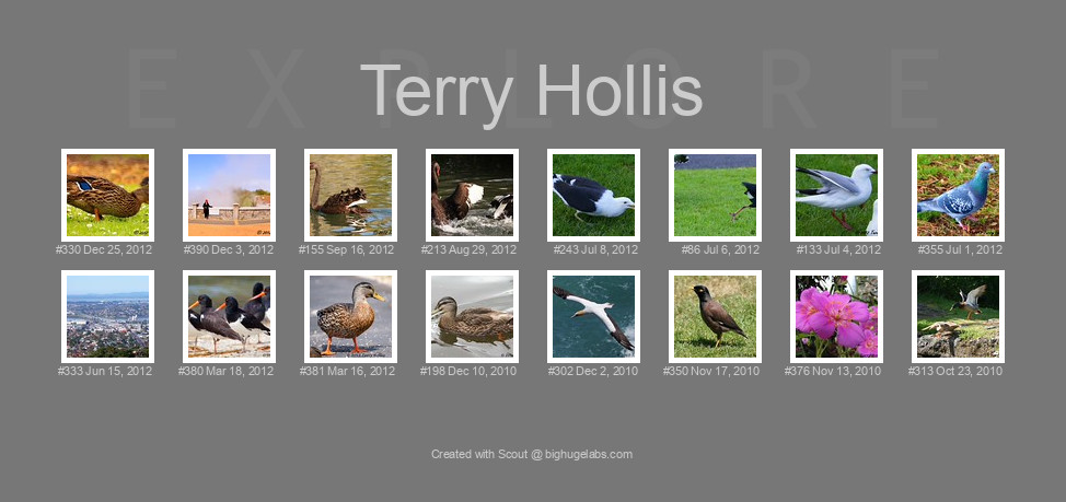 Find your photos in Flickr's Explore pages. Make a unique poster to show the world your achievement.