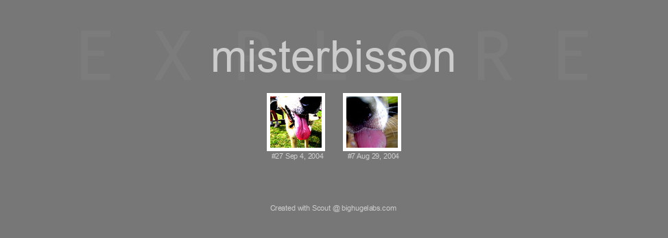 Find your photos in Flickr's Explore pages. Make a unique poster to show the world your achievement.
