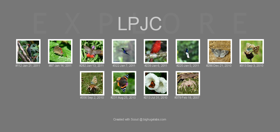 Find your photos in Flickr's Explore pages. Make a unique poster to show the world your achievement.