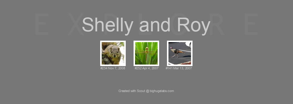 Find your photos in Flickr's Explore pages. Make a unique poster to show the world your achievement.