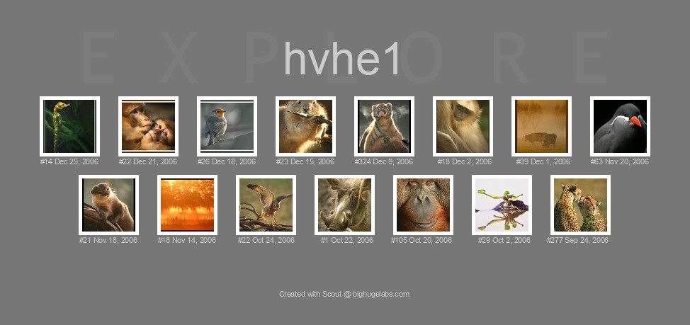 Find your photos in Flickr's Explore pages. Make a unique poster to show the world your achievement.