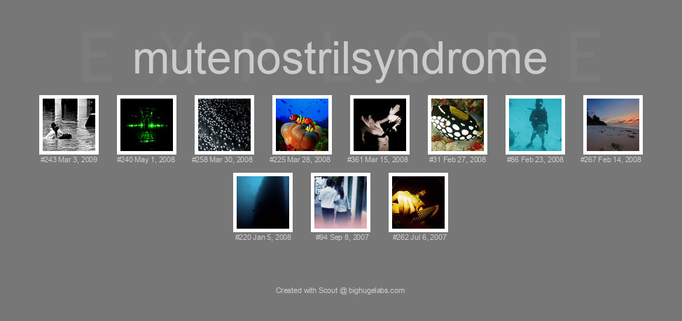 Find your photos in Flickr's Explore pages. Make a unique poster to show the world your achievement.