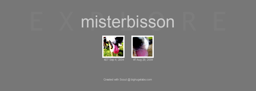 Find your photos in Flickr's Explore pages. Make a unique poster to show the world your achievement.