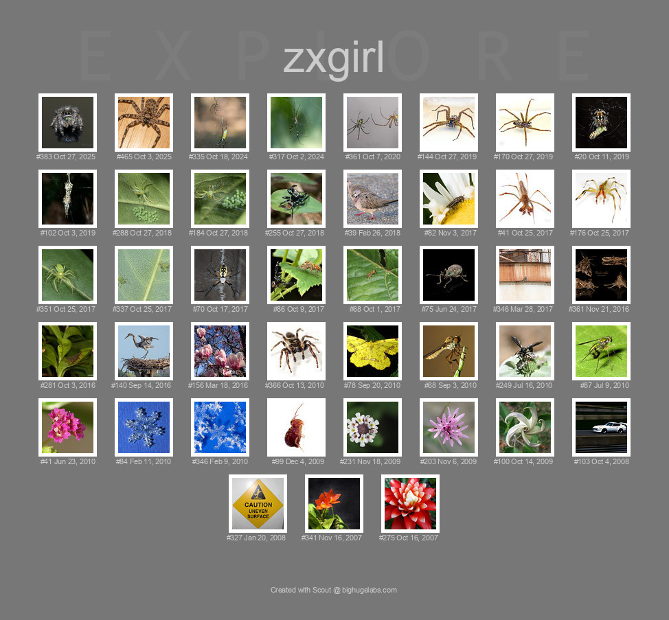 Find your photos in Flickr's Explore pages. Make a unique poster to show the world your achievement.