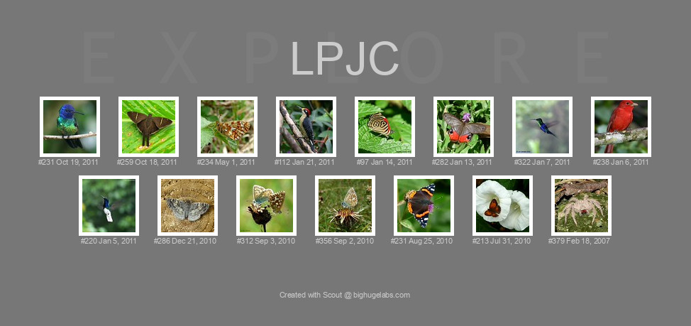 Find your photos in Flickr's Explore pages. Make a unique poster to show the world your achievement.