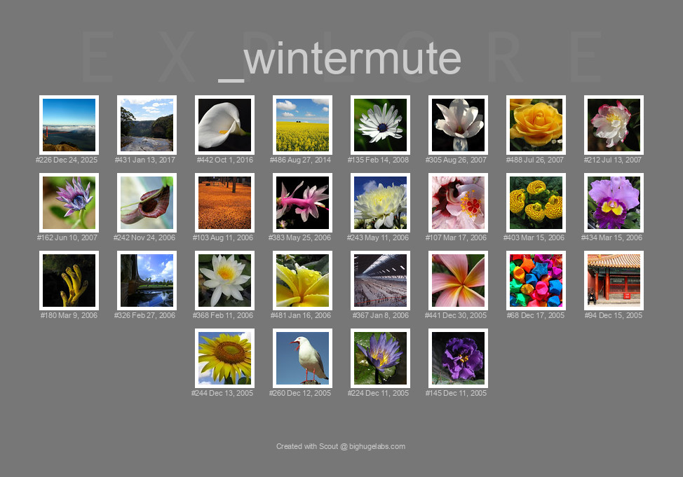 Find your photos in Flickr's Explore pages. Make a unique poster to show the world your achievement.