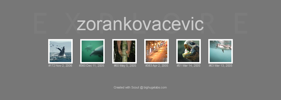 Find your photos in Flickr's Explore pages. Make a unique poster to show the world your achievement.