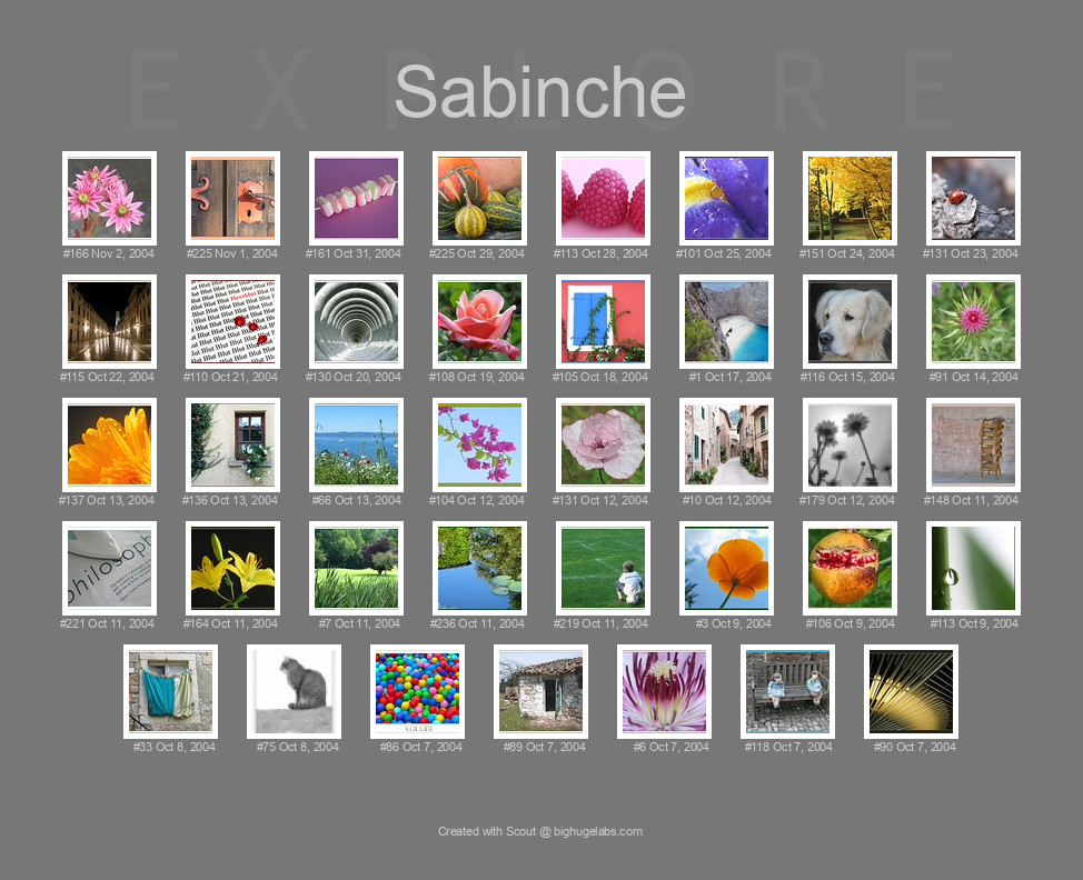 Find your photos in Flickr's Explore pages. Make a unique poster to show the world your achievement.