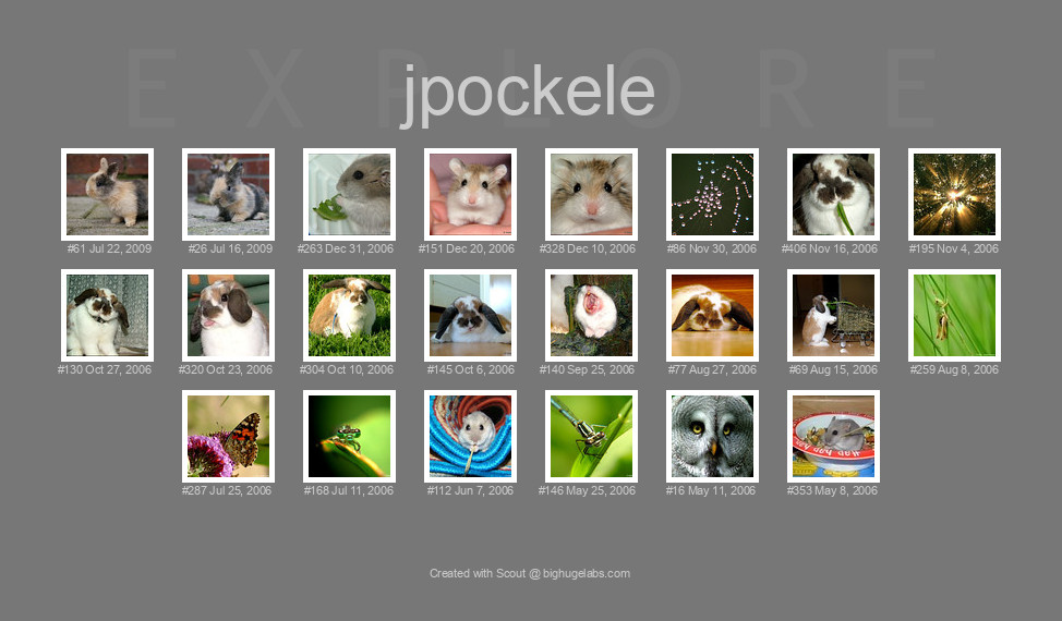 Find your photos in Flickr's Explore pages. Make a unique poster to show the world your achievement.