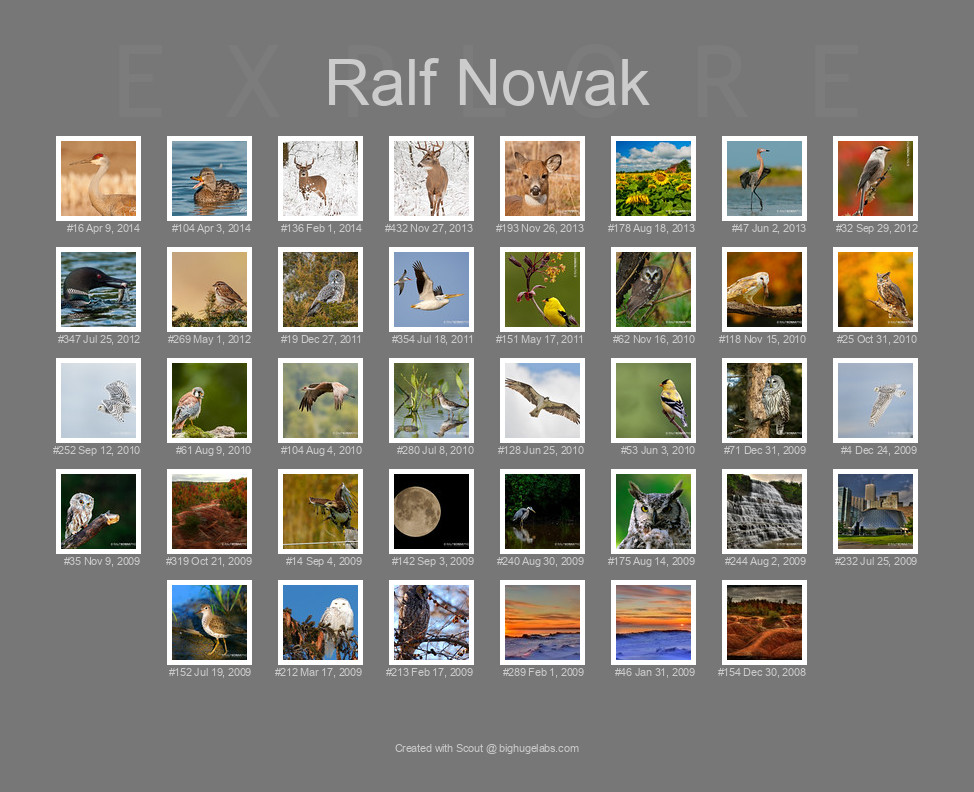 Find your photos in Flickr's Explore pages. Make a unique poster to show the world your achievement.