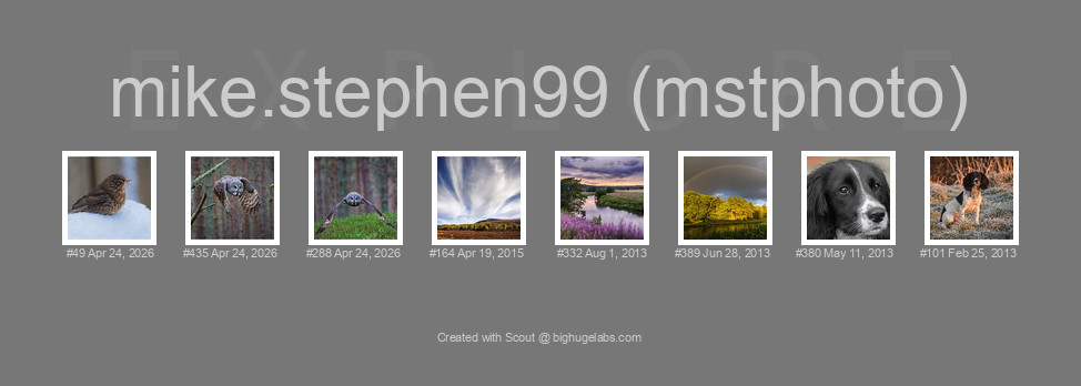 Find your photos in Flickr's Explore pages. Make a unique poster to show the world your achievement.