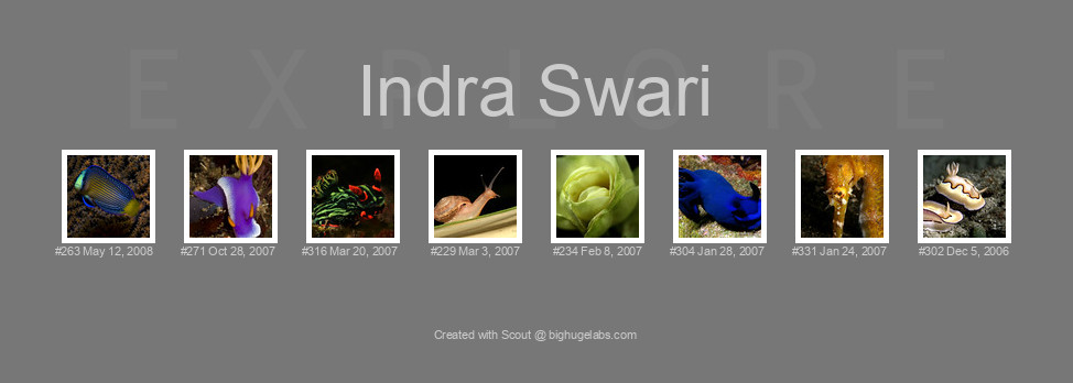 Find your photos in Flickr's Explore pages. Make a unique poster to show the world your achievement.