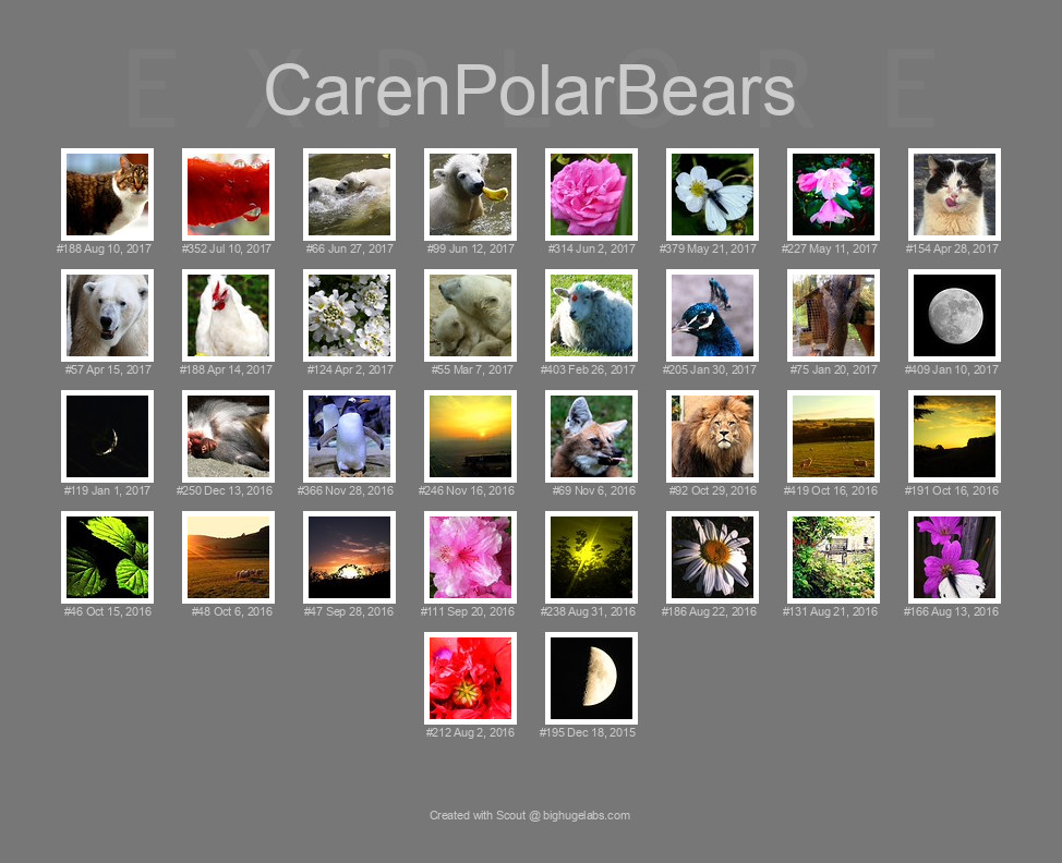 Find your photos in Flickr's Explore pages. Make a unique poster to show the world your achievement.