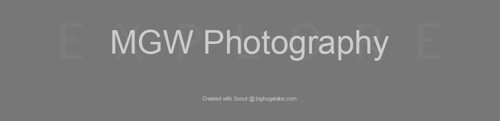 Find your photos in Flickr's Explore pages. Make a unique poster to show the world your achievement.
