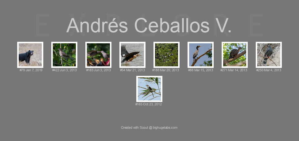 Find your photos in Flickr's Explore pages. Make a unique poster to show the world your achievement.