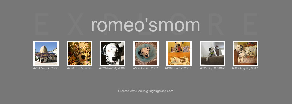 Find your photos in Flickr's Explore pages. Make a unique poster to show the world your achievement.