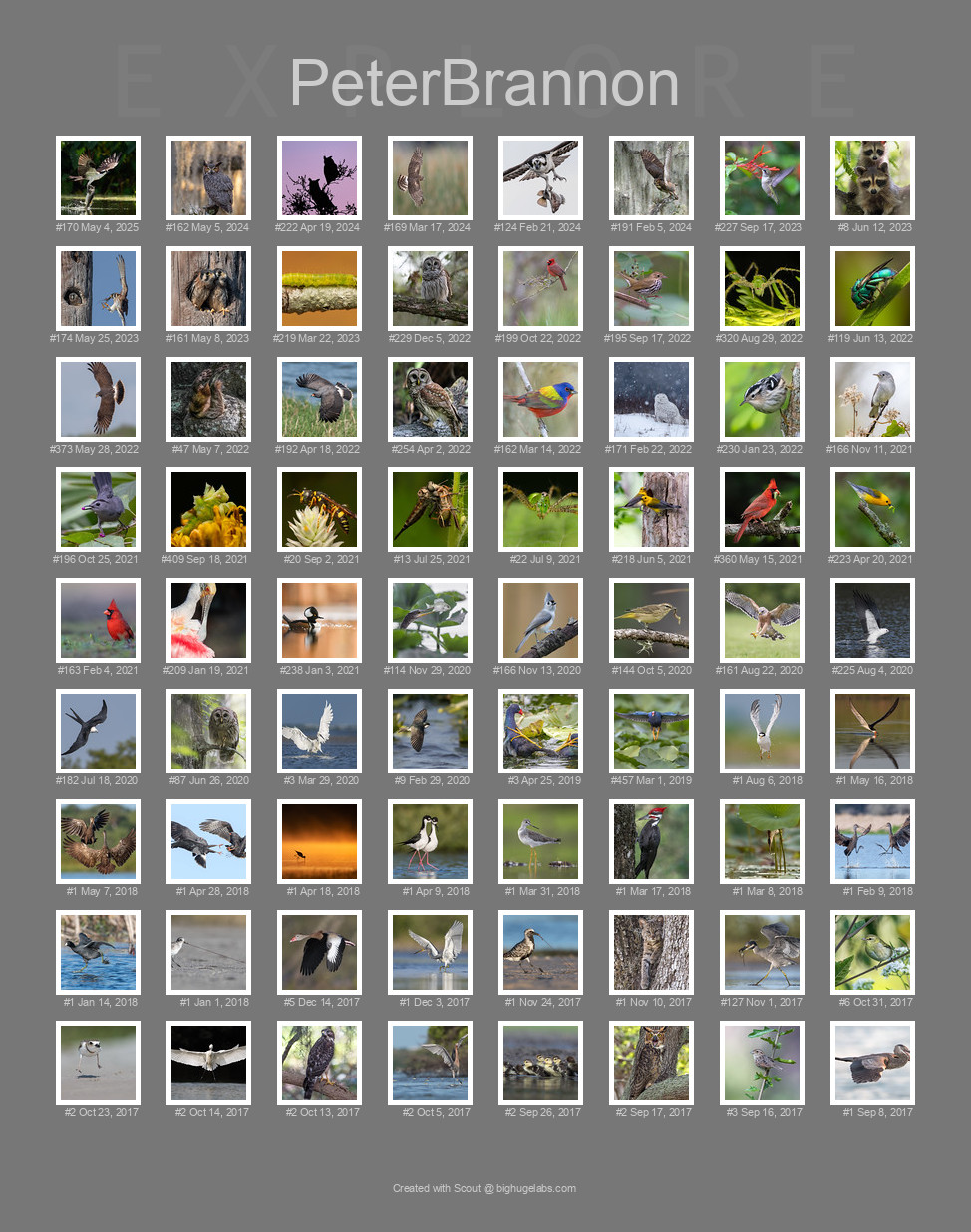 Find your photos in Flickr's Explore pages. Make a unique poster to show the world your achievement.